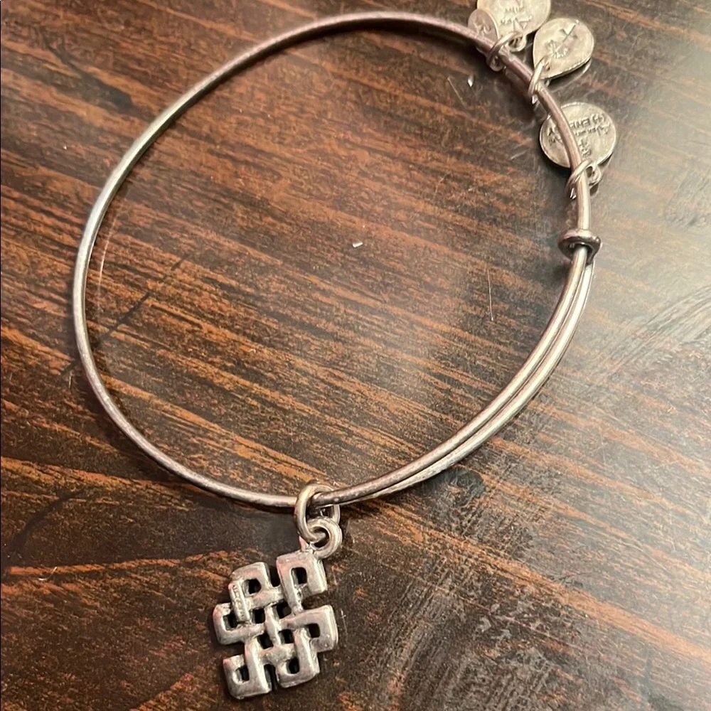 Alex and Ani Silver Endless Knot Bracelet - Picture 2 of 3